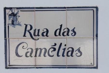 Casa De Seixe Vila Odeceixe Exterior foto